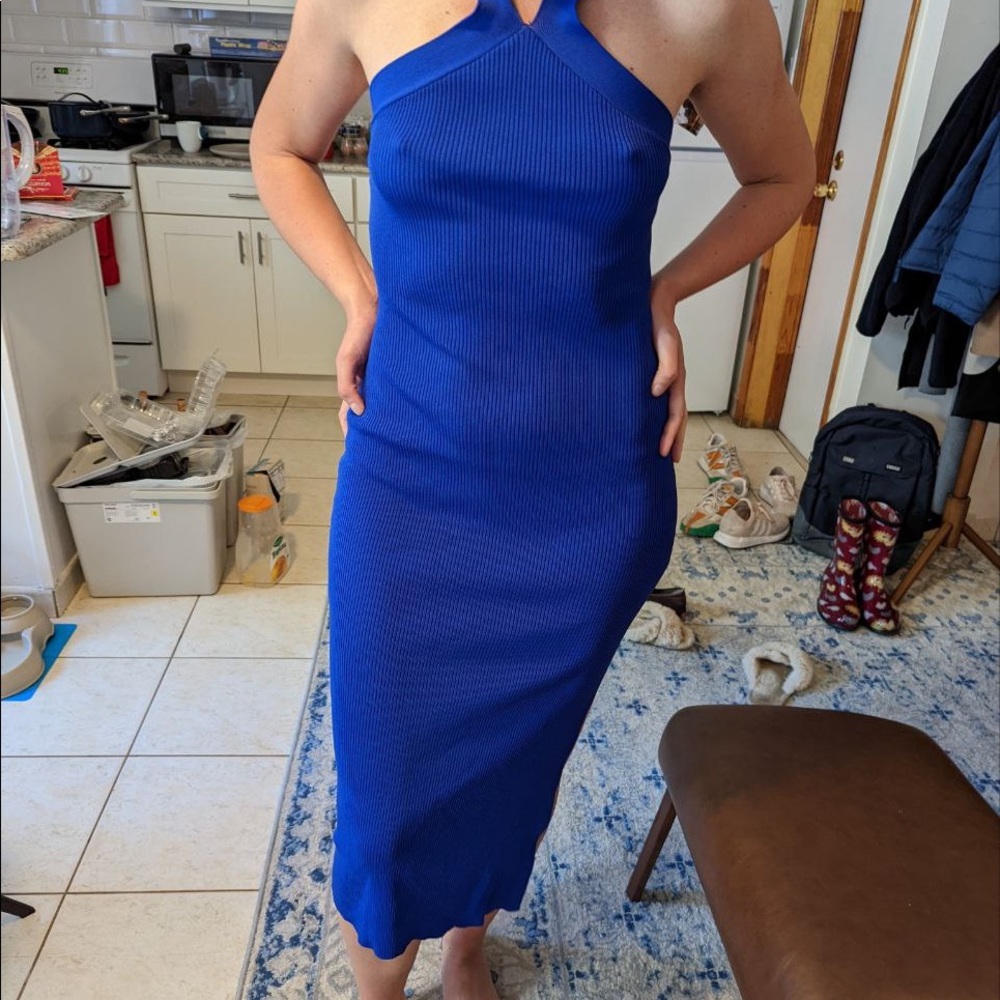 Cute Aritzia/Wilfred blue dress - Picture 4 of 5